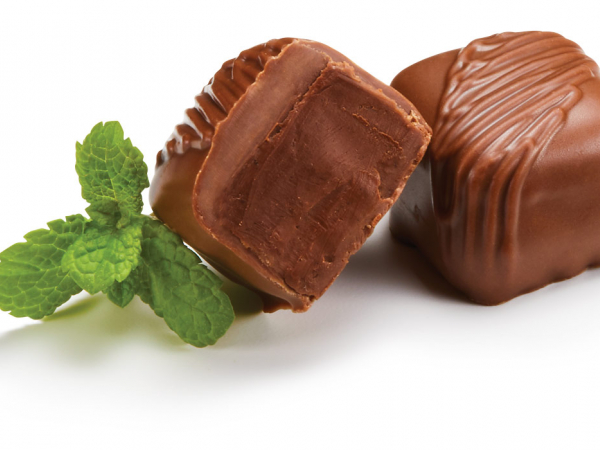 Terri Lynn Product - Naturally Flavored Mint Chocolates